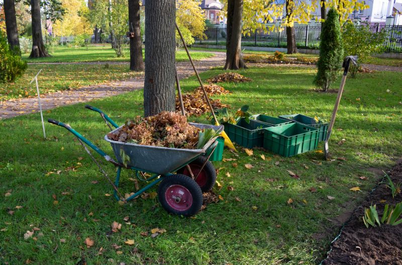 Brush Clearing Service in Cumming, GA