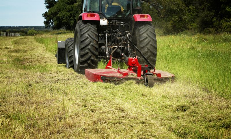 Brush Clearing Service in Salt Lake City, UT