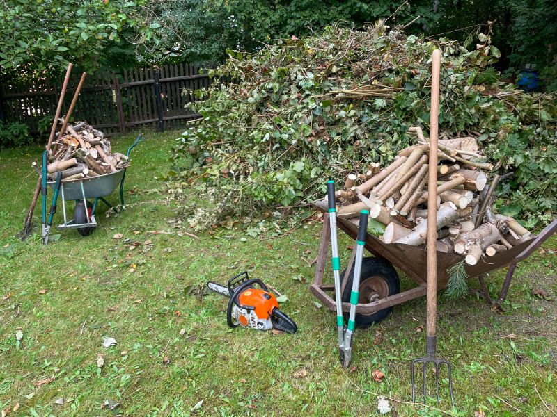 Cost of Fallen Tree Removal — Cost of Fallen Tree Removal