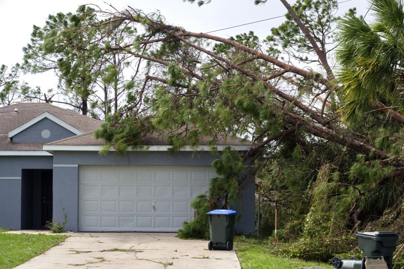 Storm Damage Tree Collapse