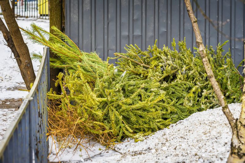 Clearing Debris After Removal