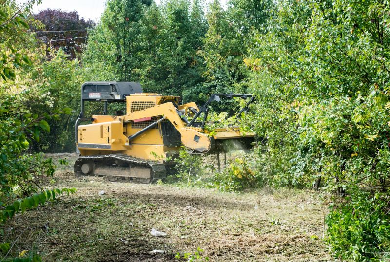 Fallen Tree Removal Equipment