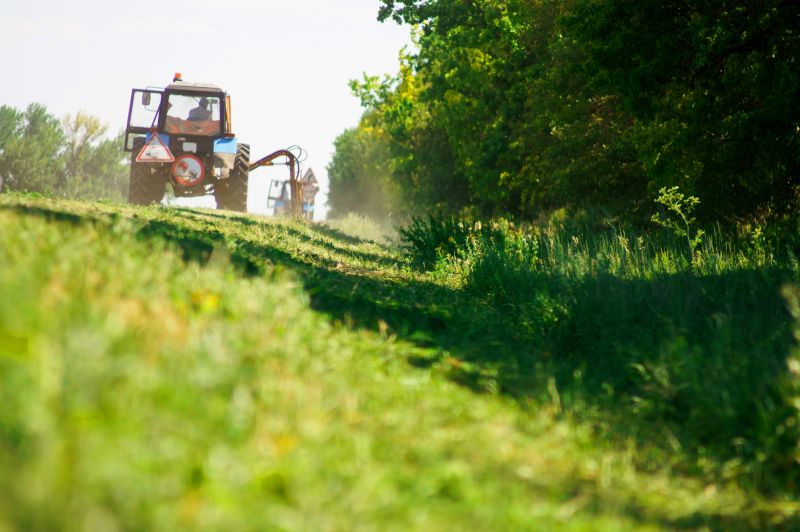 Pasture Clearing in Katy, TX