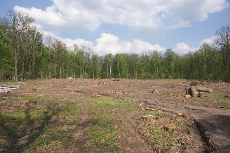 Pasture Clearing in Marietta, GA
