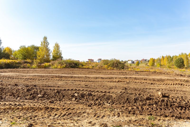 Site Clearing Service in Houston, TX